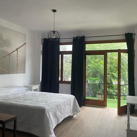 Apartamento Olivares 洛斯·亚诺斯·德·阿里丹 外观 照片
